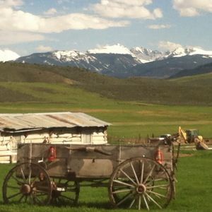 Meet your Posher, Julia